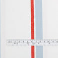 Stripe Cotton Canvas - Blue / Red