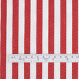 Big Candy Stripe Cotton Poplin - Crimson