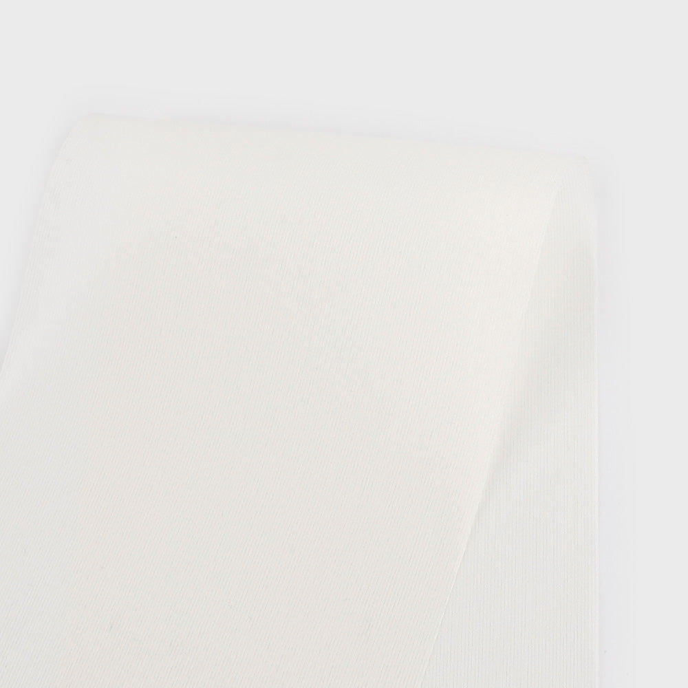 Papery Sheer Silk - Ivory